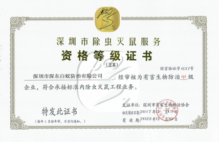 资质等级证书